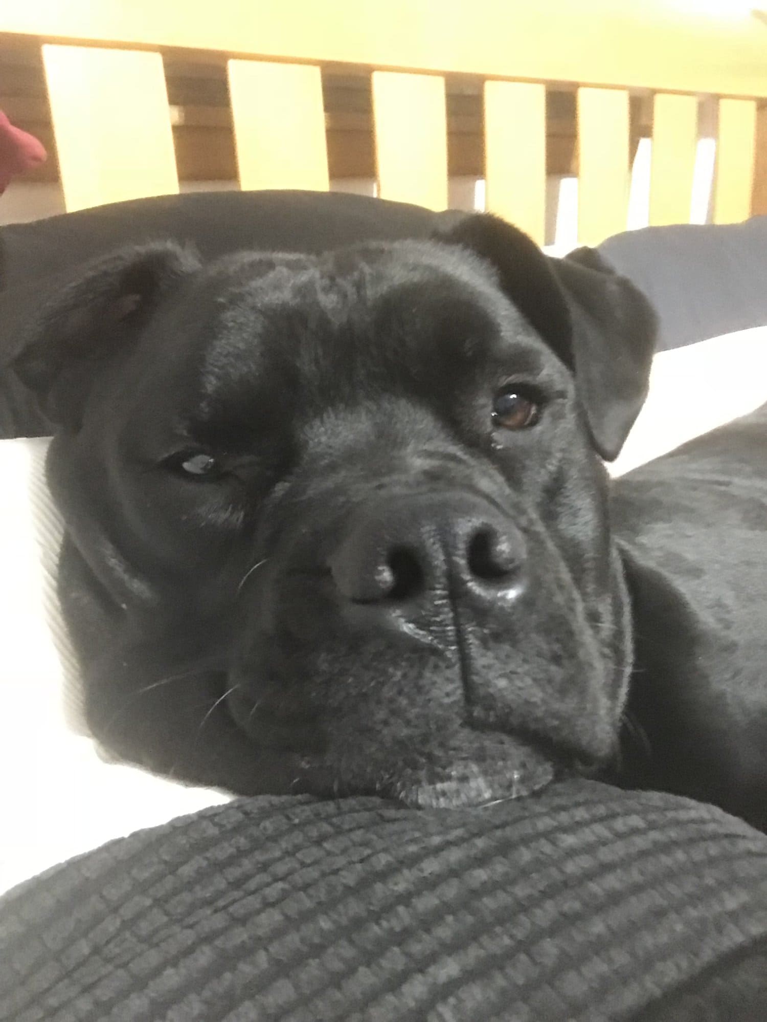 Foto de Ricardo Mendes